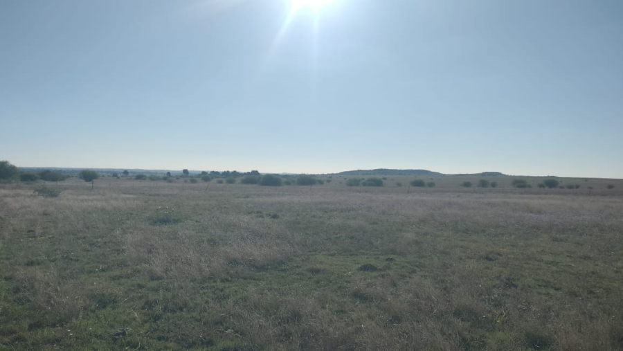 Commercial Property for Sale in Bloemfontein Rural Free State